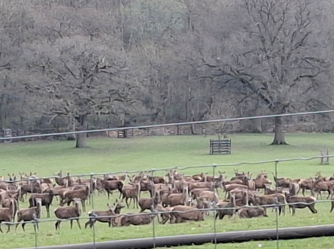Greystones Farm-水上伯顿必去景点