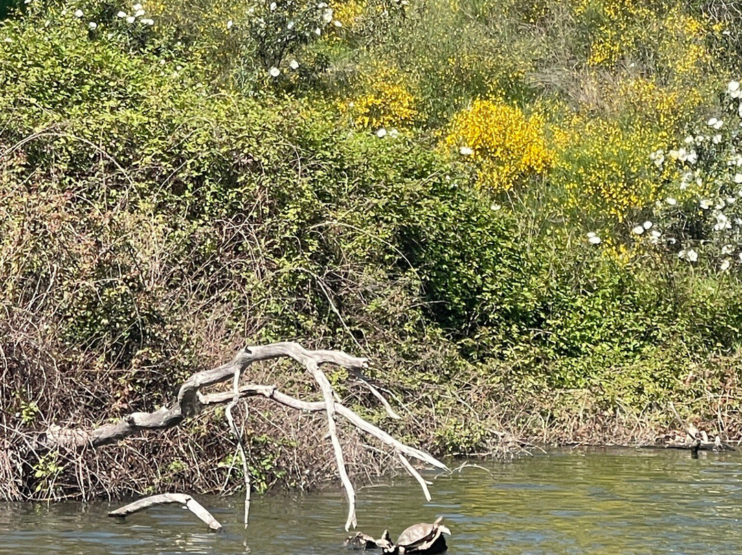 Alqueva Cruzeiros-Reguengos de Monsaraz必去景点