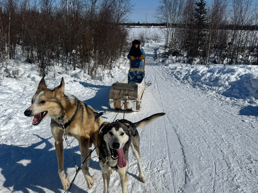North of 60 Aurora Adventures-黄刀镇必去景点