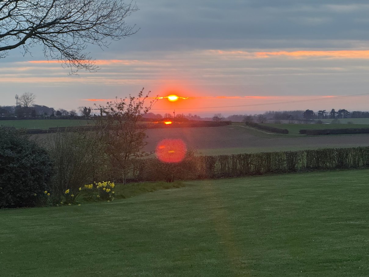 Magazine Wood-官方