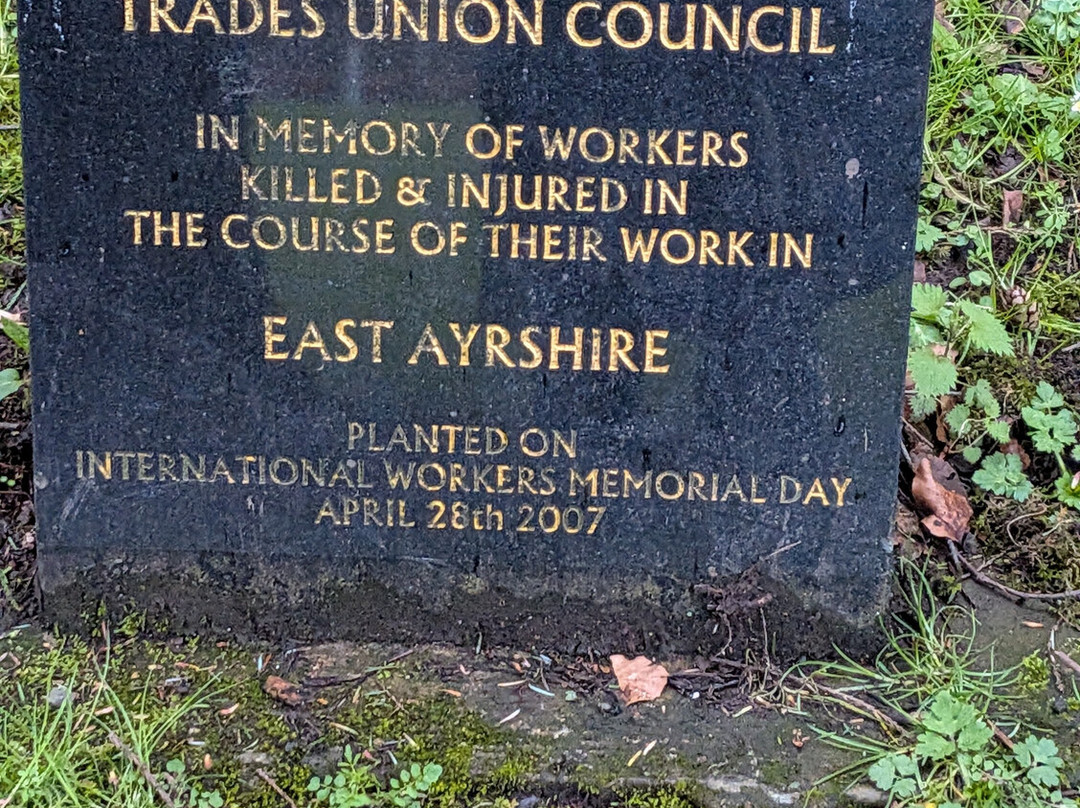 基尔马诺克旅客之家酒店主图