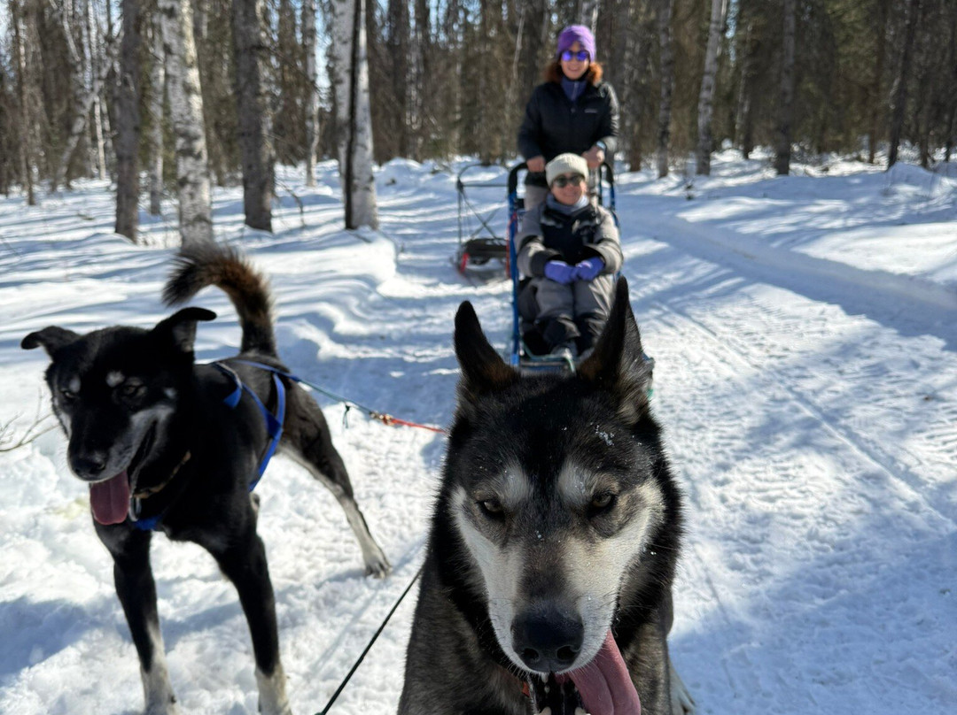 Snowhook Adventure Guides of Alaska-Willow必去景点