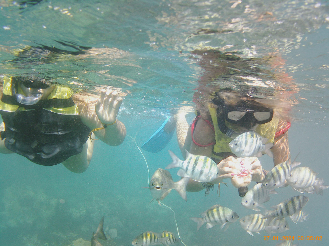 Snorkeling Tour Varadero-巴拉德罗必去景点