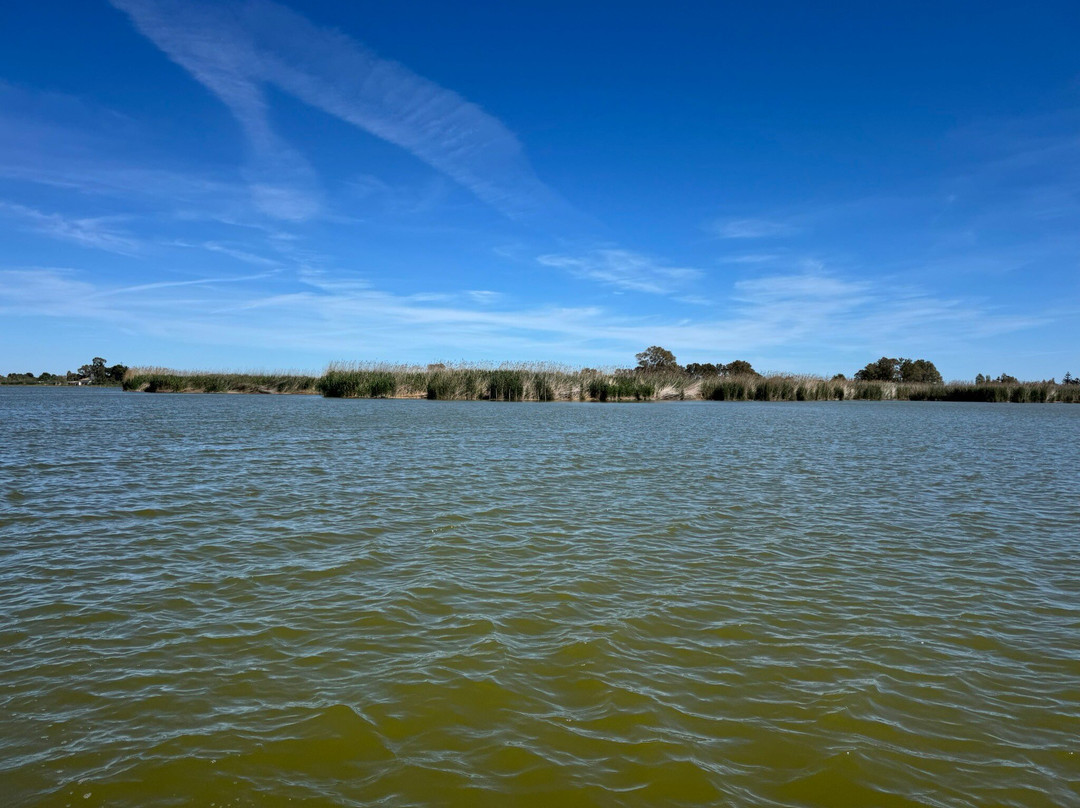 Embarcadero "El Tío Pastilla"-El Palmar必去景点