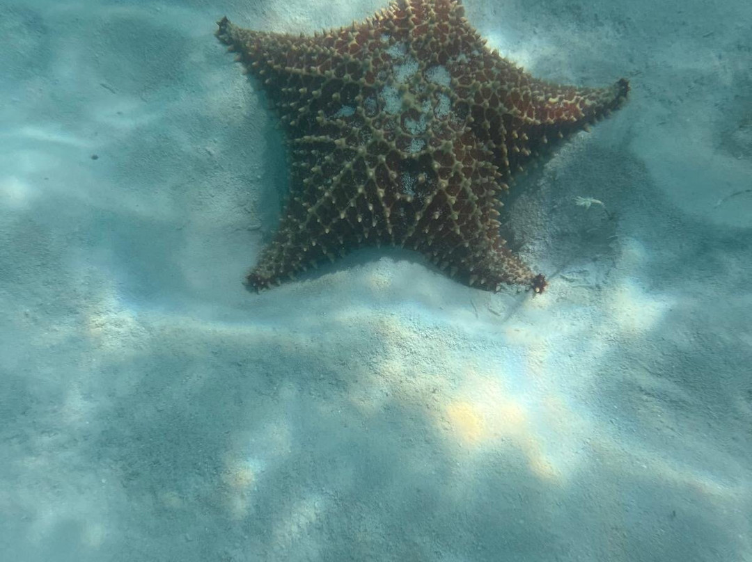 Franconero Escursioni-Bayahibe必去景点