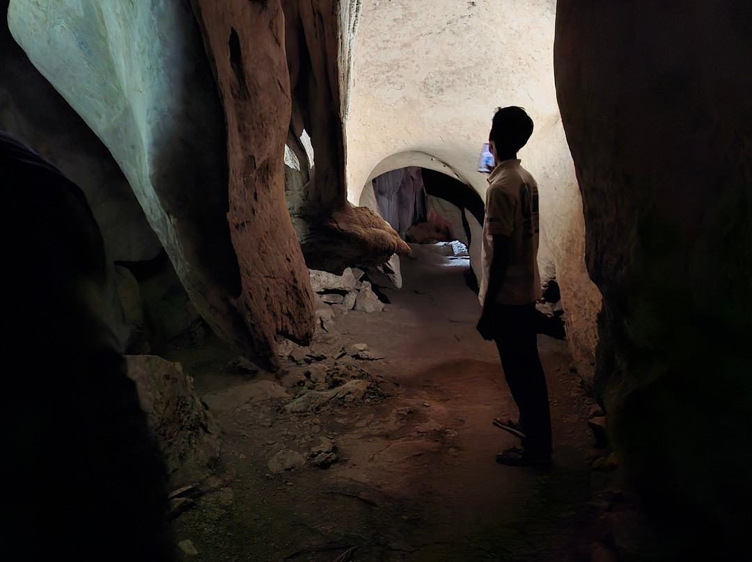 Irrawaddy Dolphins & Coastal Wonders Tour-贡布必去景点