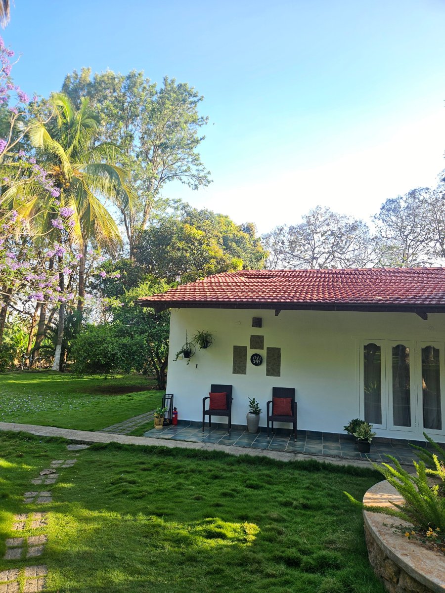 马吉非拉旅馆-官方