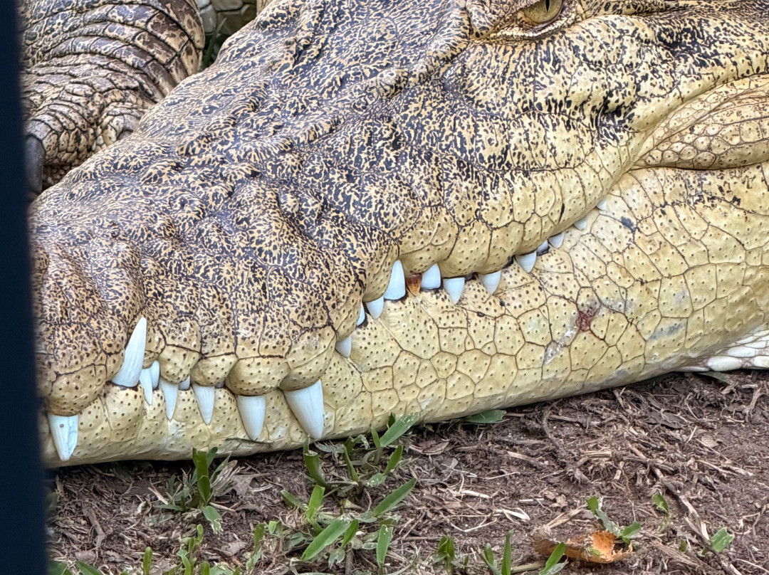 Blue Mountains Tours-格兰布鲁克必去景点