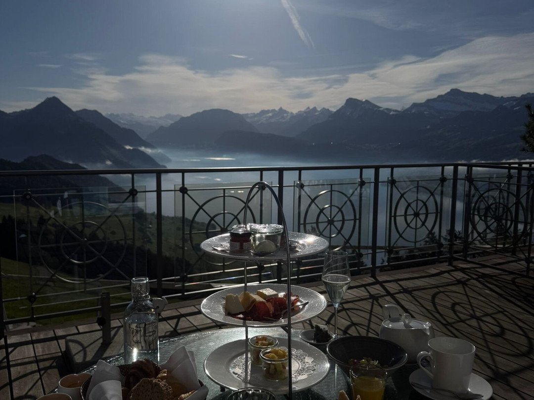 霍尼格别墅主图