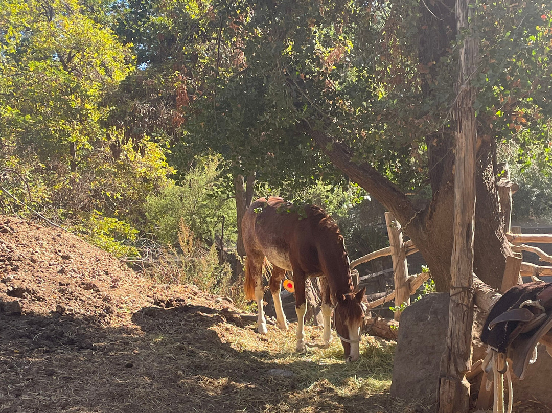 Cascada de las Animas-圣阿方索必去景点