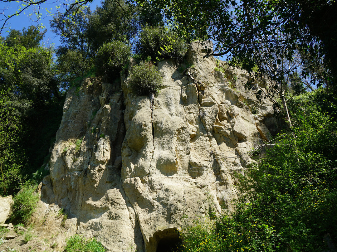 Valle del Treja-Calcata必去景点