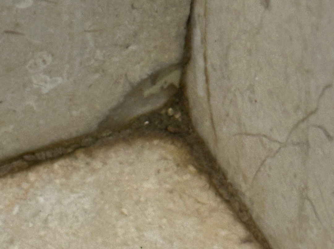 特内里费巴塞罗度假村主图