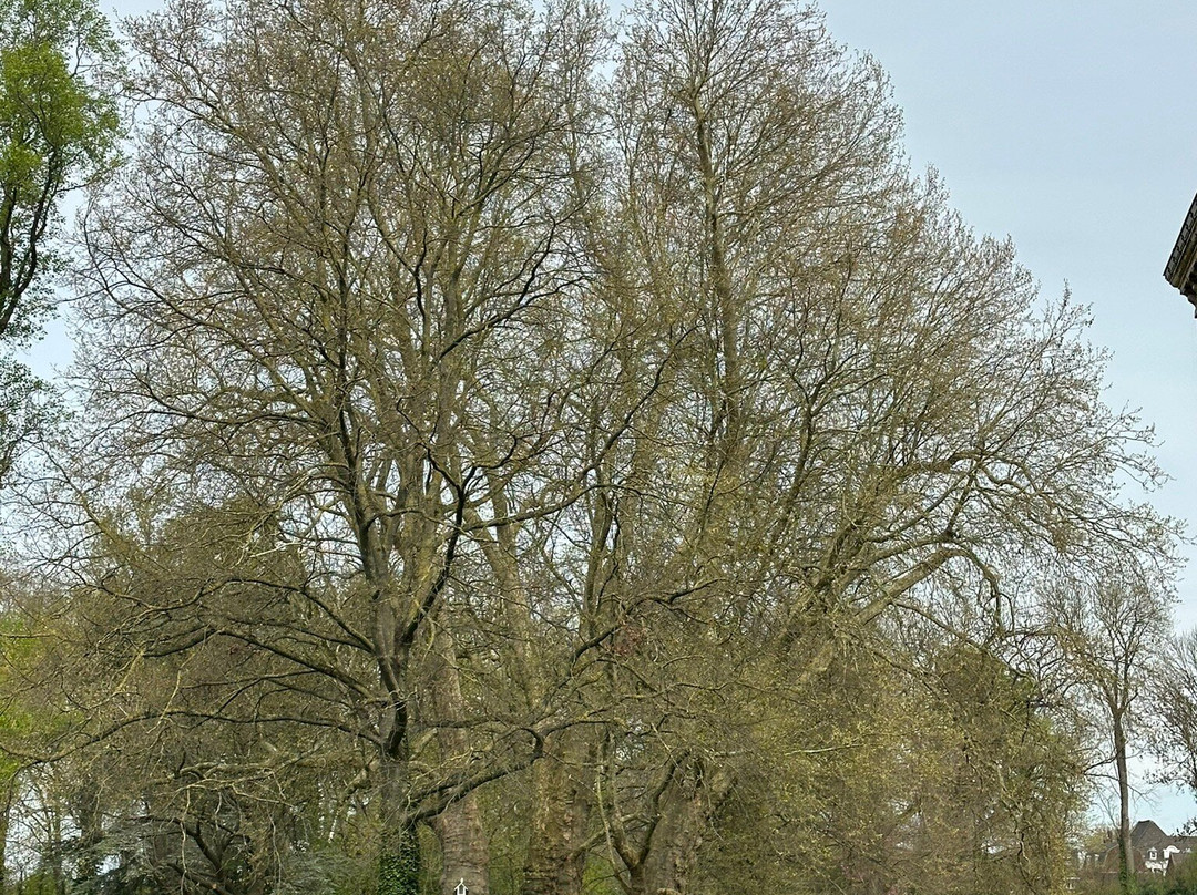 Castle Eijsden-Eijsden必去景点
