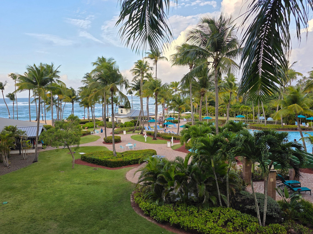 Hyatt Vacation Club at Hacienda del Mar主图