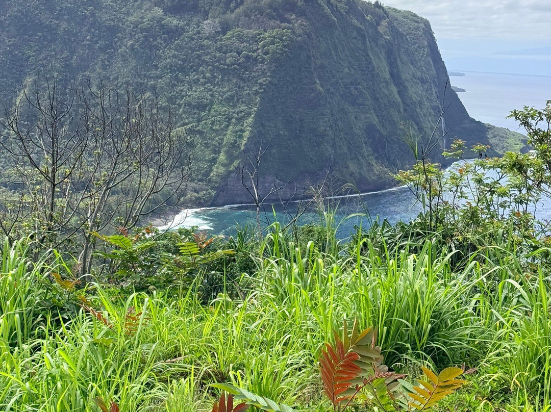Waipio Valley Shuttle-库库伊哈尔必去景点