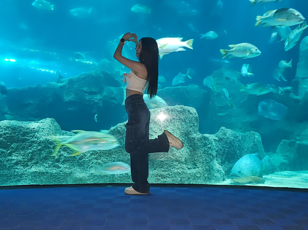 Acuario Michin Guadalajara-瓜达拉哈拉必去景点