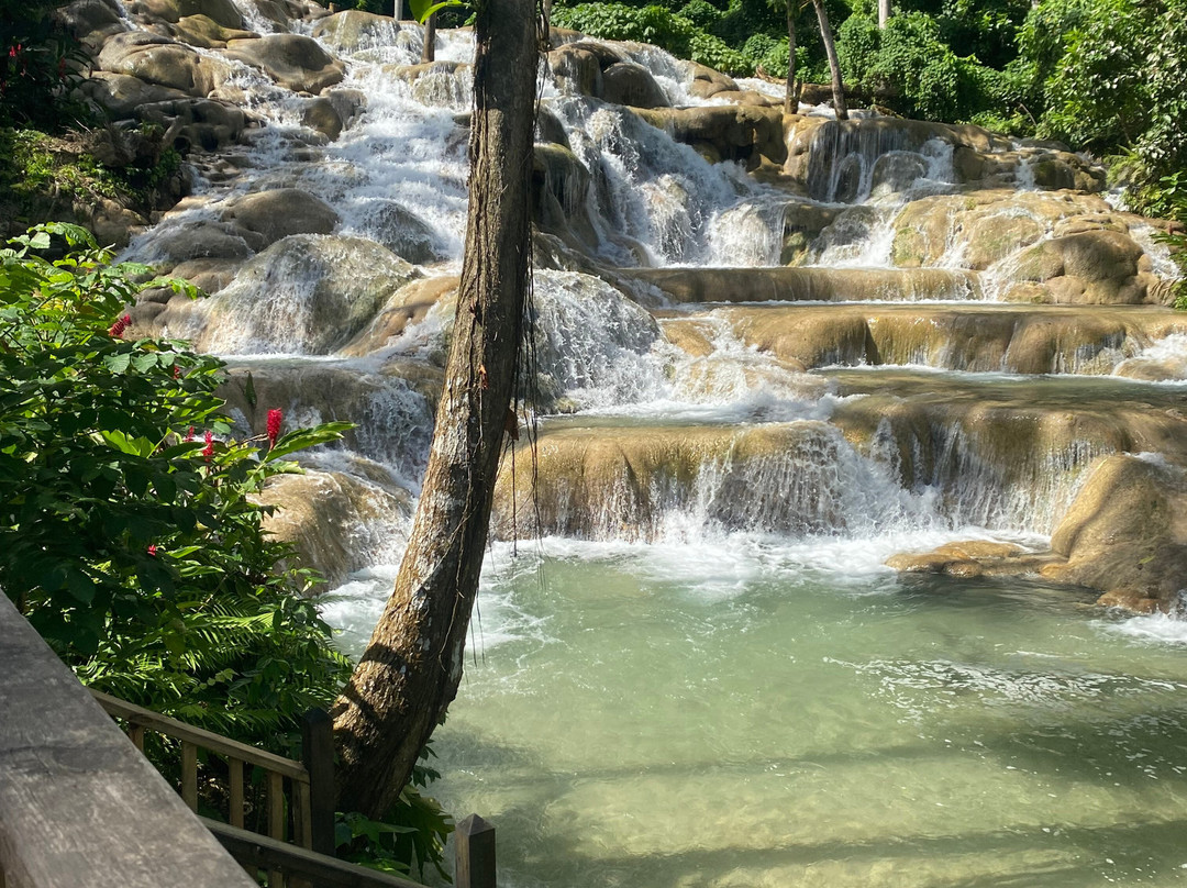 Taste the tropics tours and transportation-奥乔里奥斯必去景点