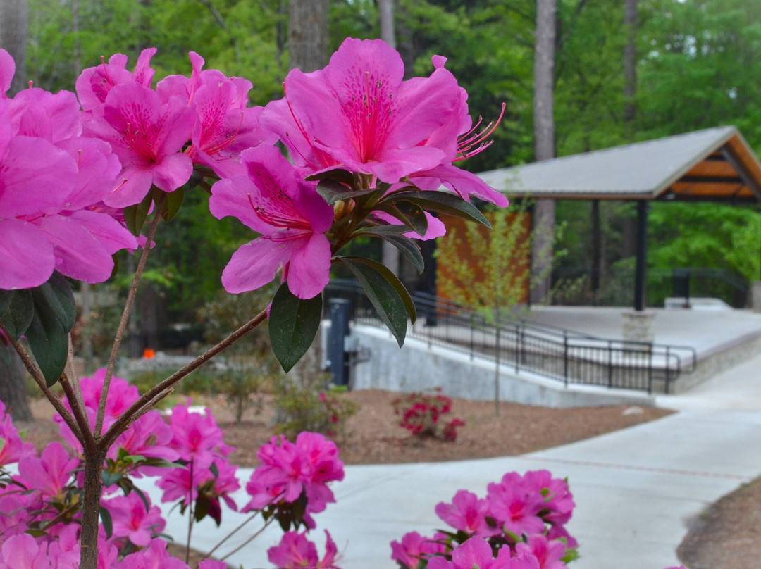 Virginia Hylton Park-列克星敦必去景点