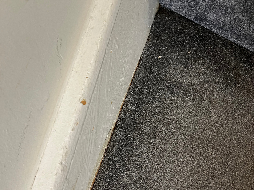 Butlin's Skegness Resort主图