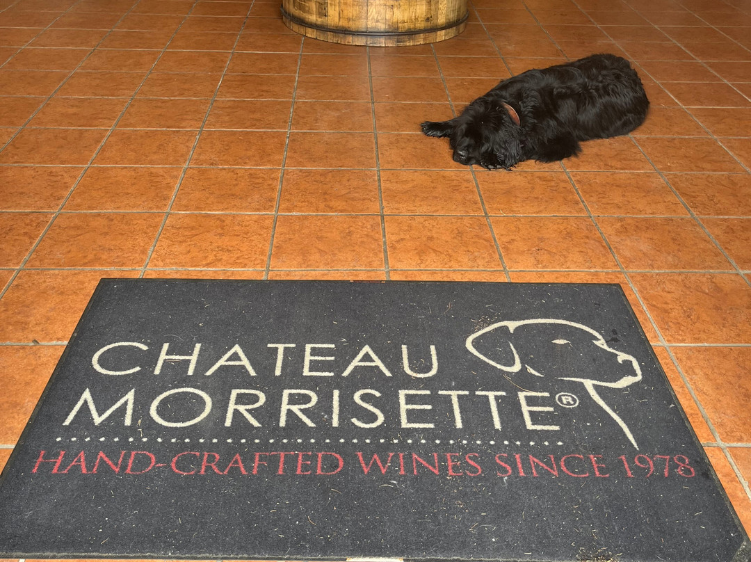 Chateau Morrisette Winery-Floyd必去景点