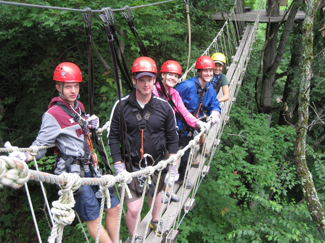 Navitat Canopy Adventures-Barnardsville必去景点