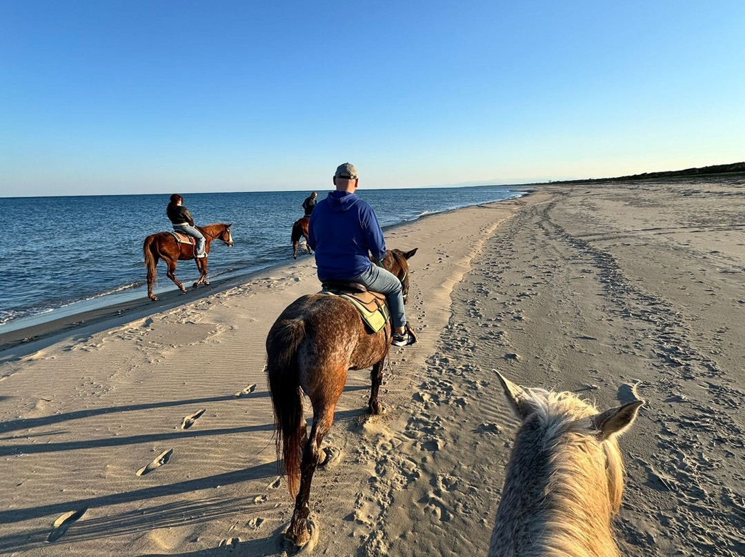 Family Horses 373-5361953-Marina di Ginosa必去景点