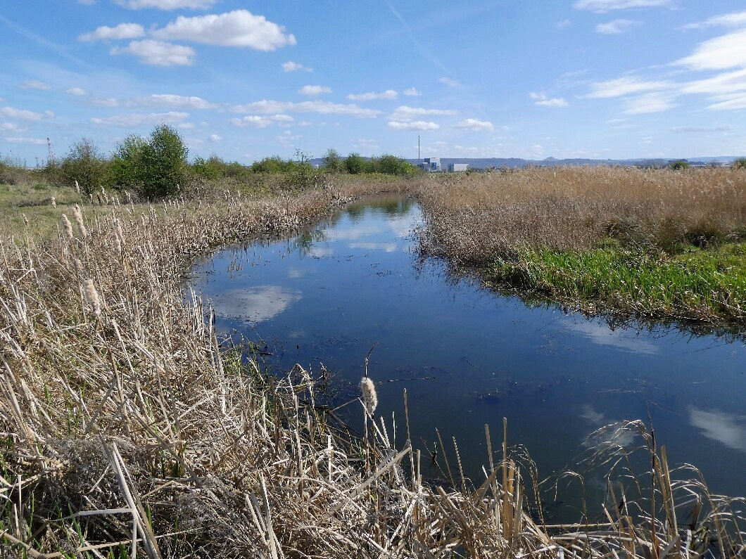 RSPB Saltholme-米德尔斯堡必去景点