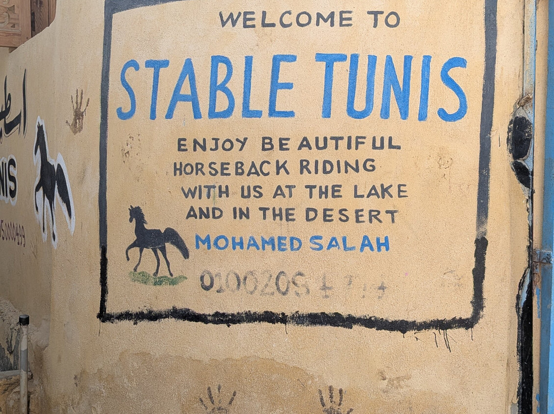 Tunis Stable-Tunis必去景点