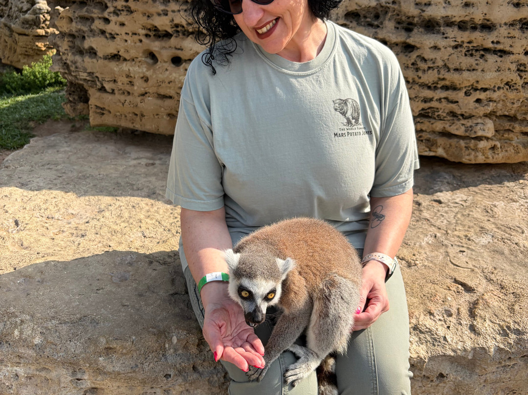 Tanganyika Wildlife Park-Goddard必去景点
