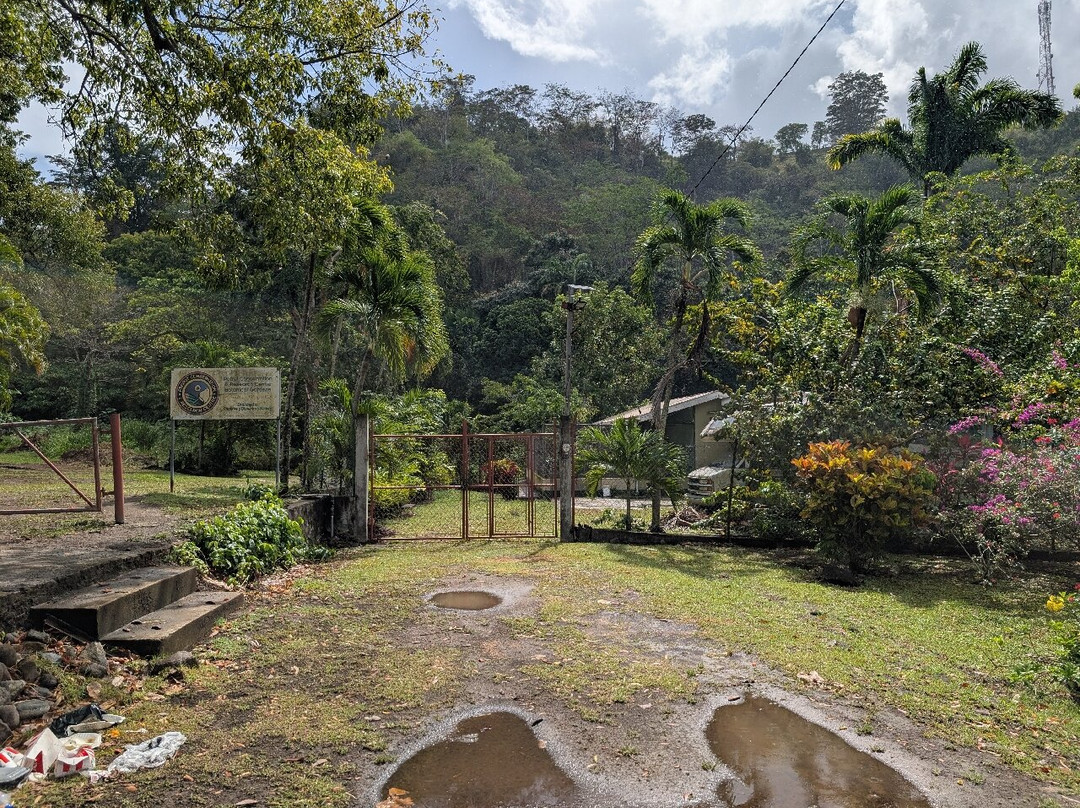Dominica Botanic Gardens-罗索必去景点