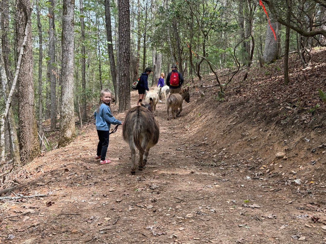 Happy Hooves Treks