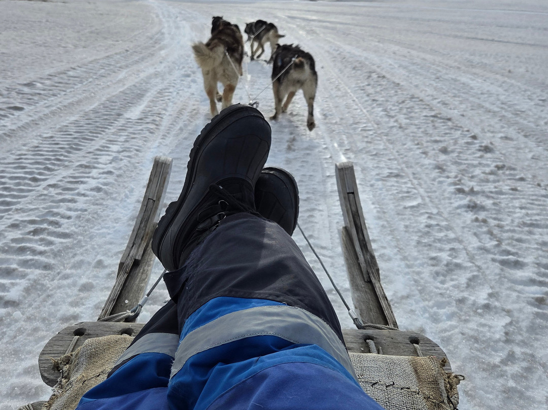 Svalbard Experts-朗伊尔城必去景点