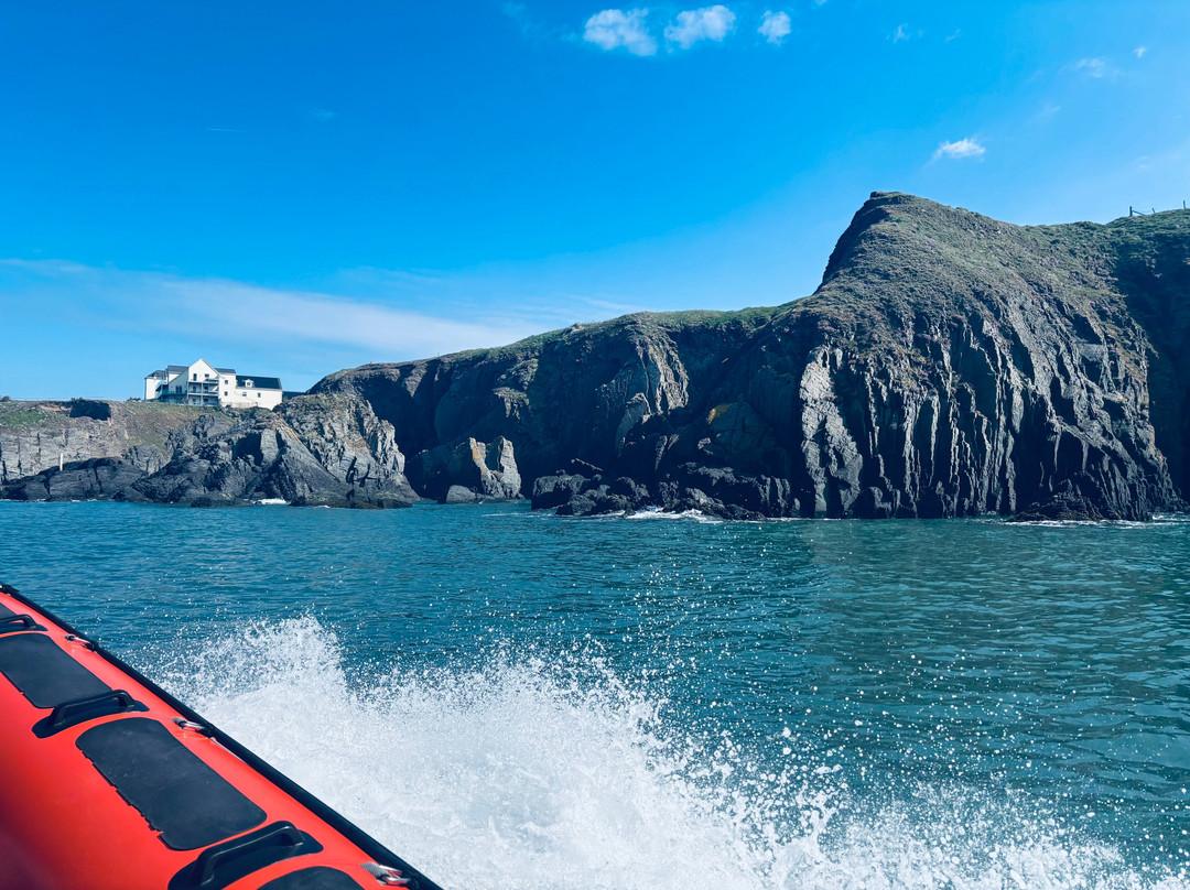 A Bay To Remember Wildlife Boat Trips-St. Dogmaels必去景点