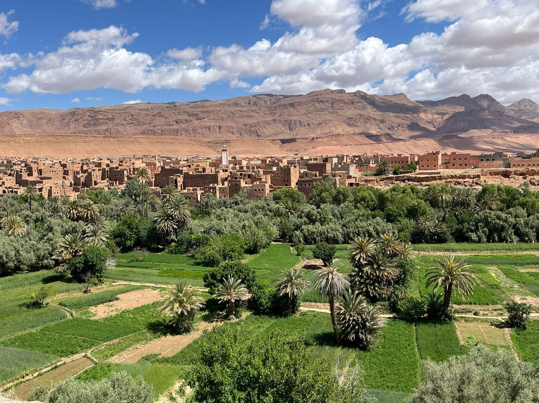 Private Morocco Driver-马拉喀什必去景点