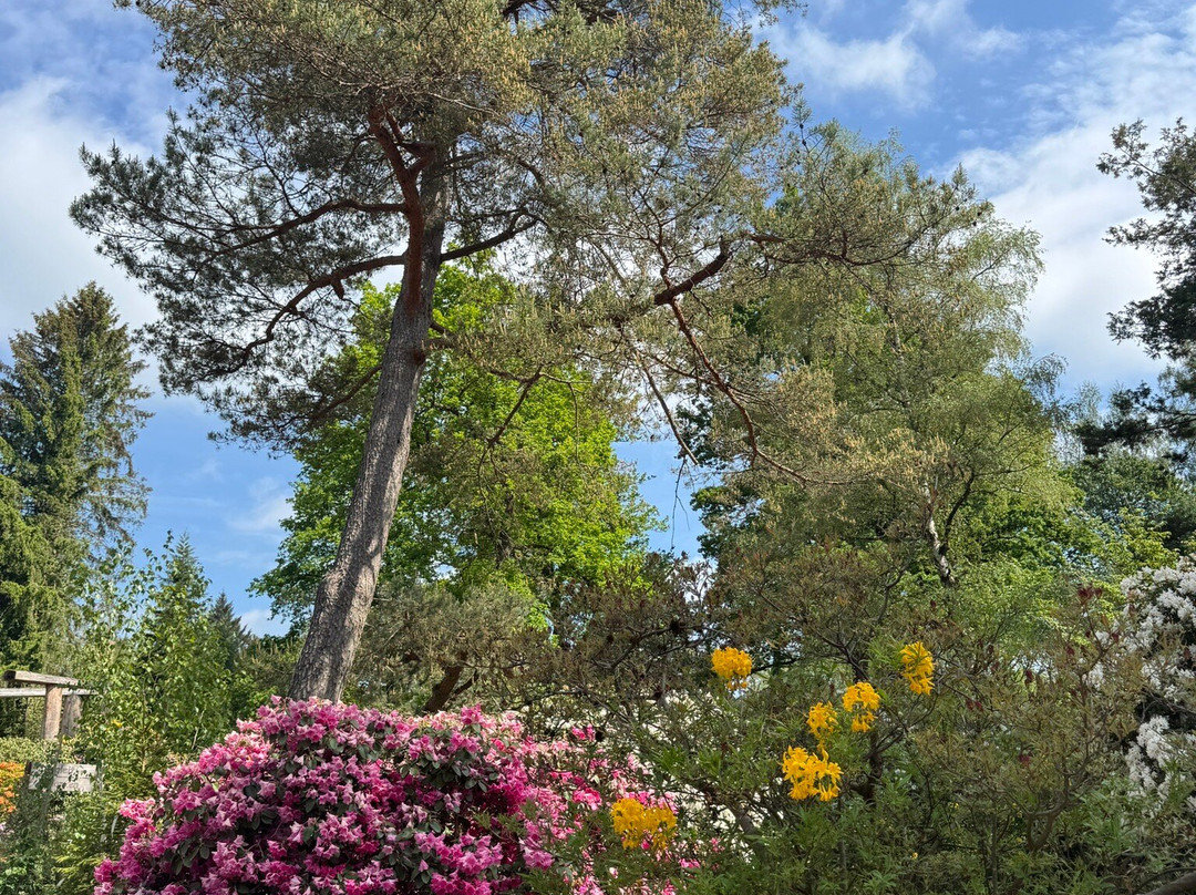 Park Seleger Moor-Rifferswil必去景点