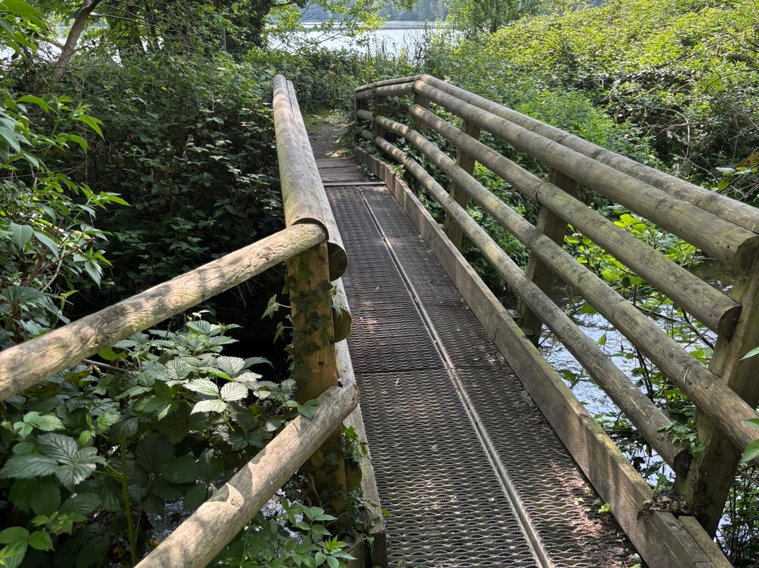 Sevenoaks Wildlife Reserve-Sevenoaks必去景点