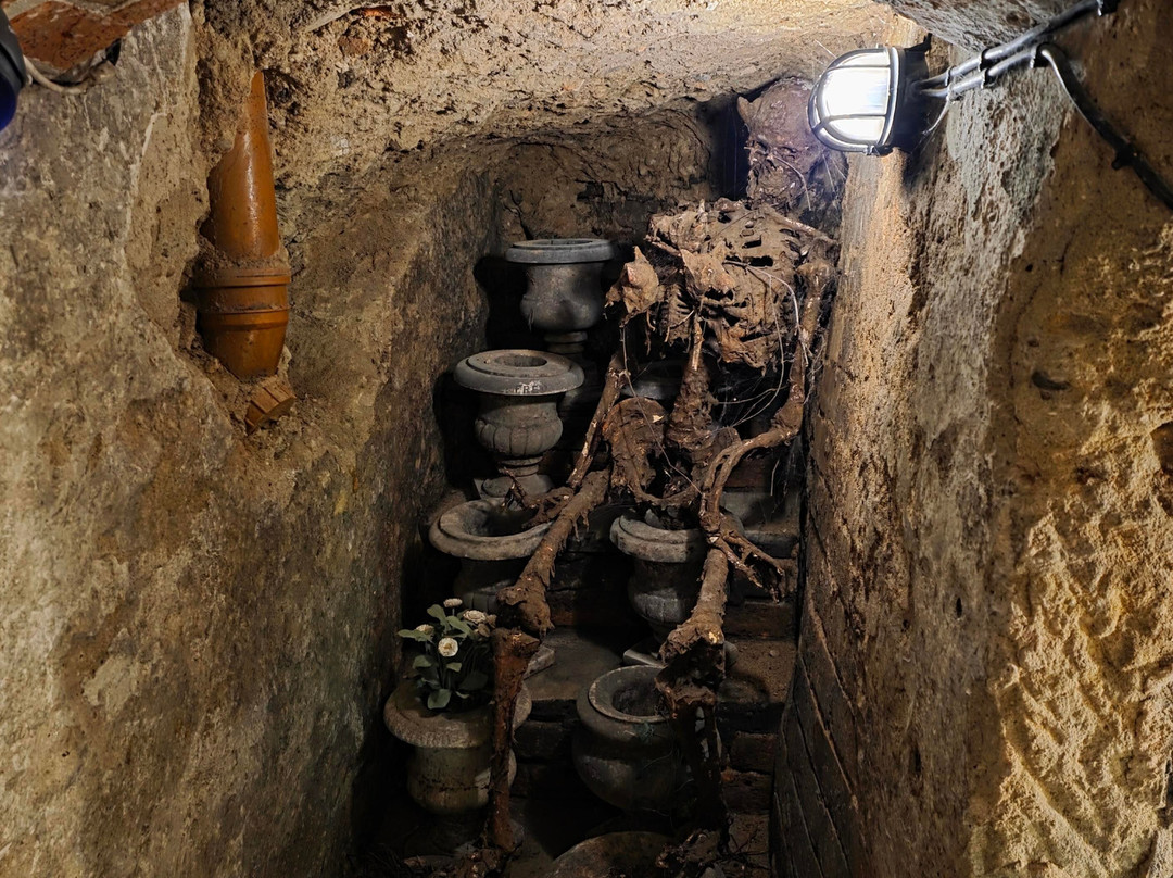 The Museum Of Curiosities-诺丁汉必去景点