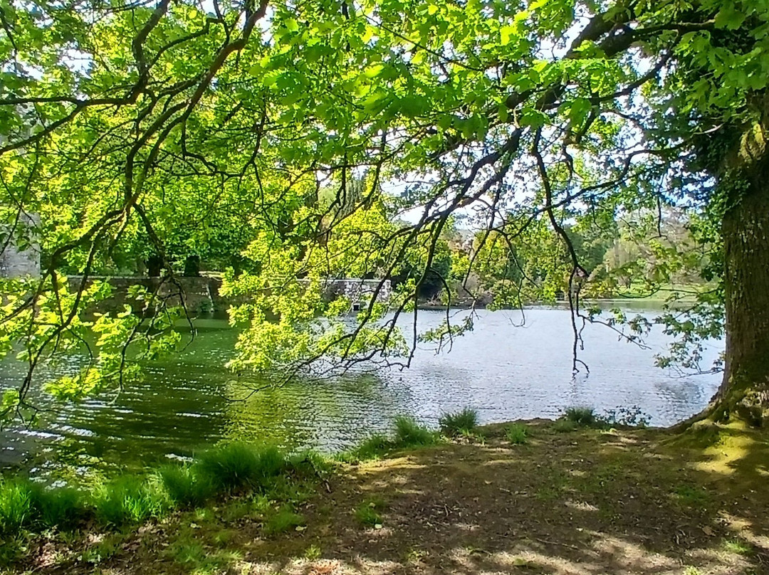 Johnstown Castle-County Wexford必去景点