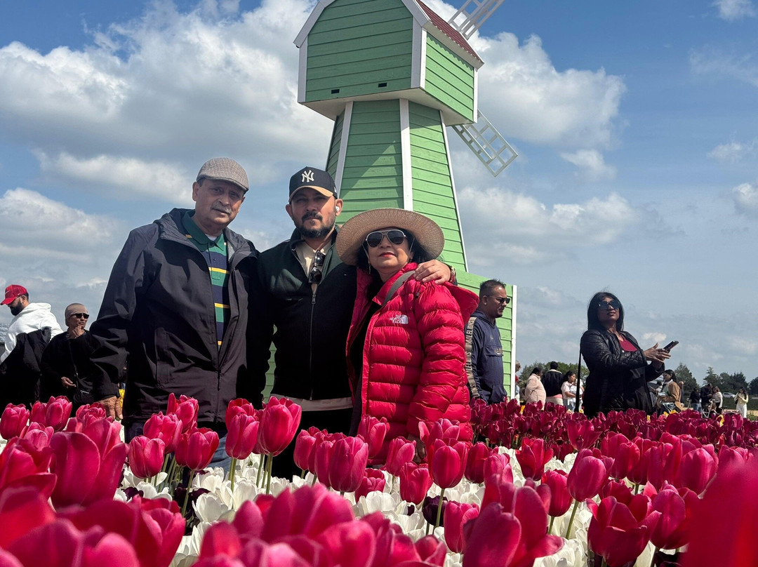 The Tulip Barn-Hillegom必去景点