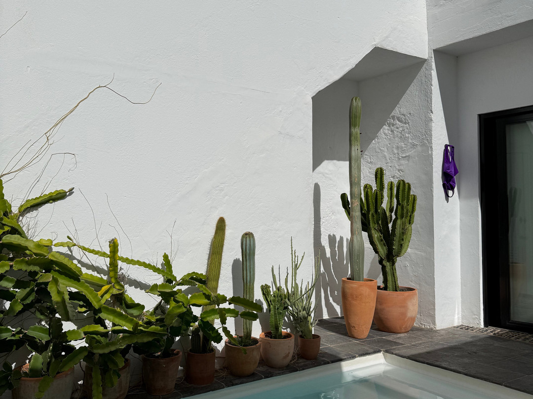 Casa las Flores主图