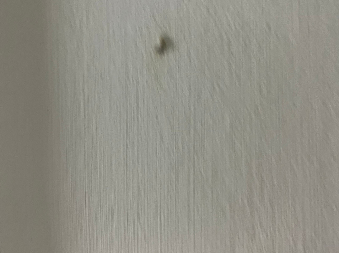 休闲酒店主图