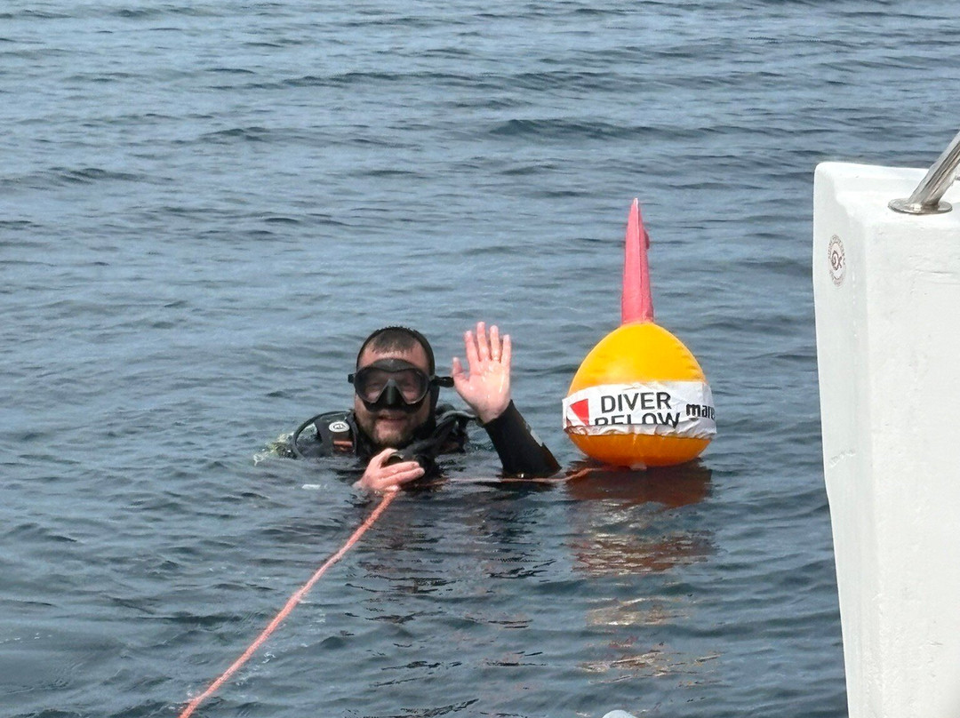Diving Center Pongo-普莫斯特必去景点