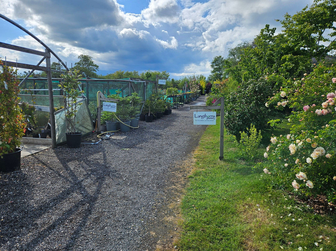 Langthorns Plantery-Little Canfield必去景点