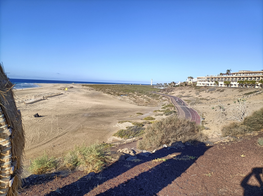 Iberostar Waves Gaviotas Park主图