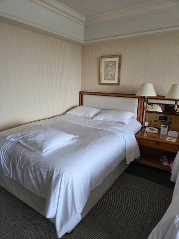 东京湾喜来登大酒店-旅行者