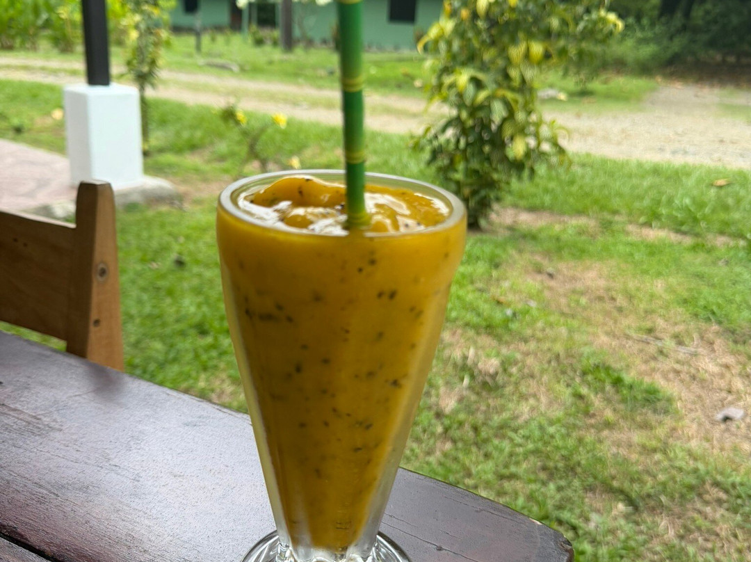 Hacienda Baru Lodge-主日镇必去景点