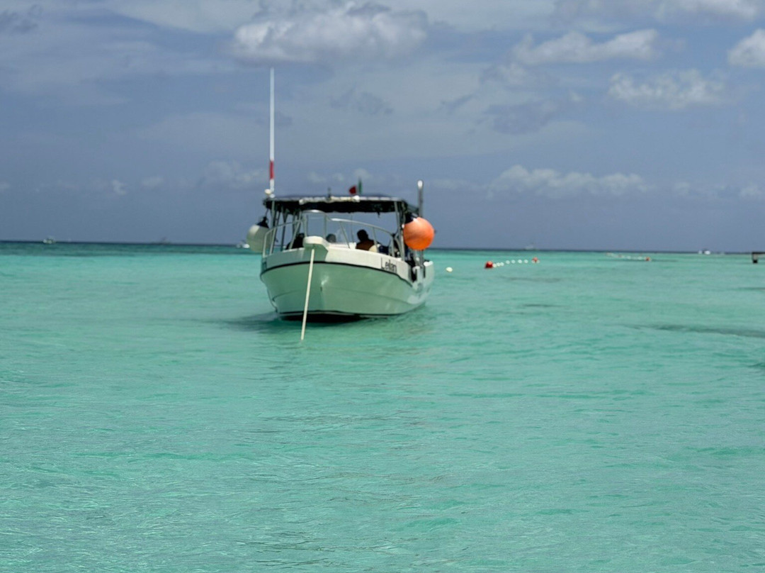 Scuba Life Cozumel-San Miguel de Cozumel必去景点
