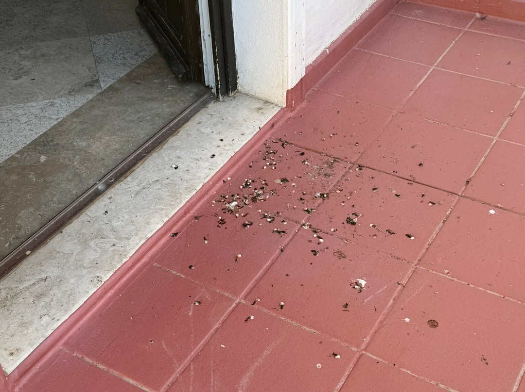 Phi Hotel Sighientu主图