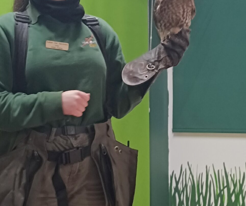 Suffolk Owl Sanctuary-Stonham Aspal必去景点