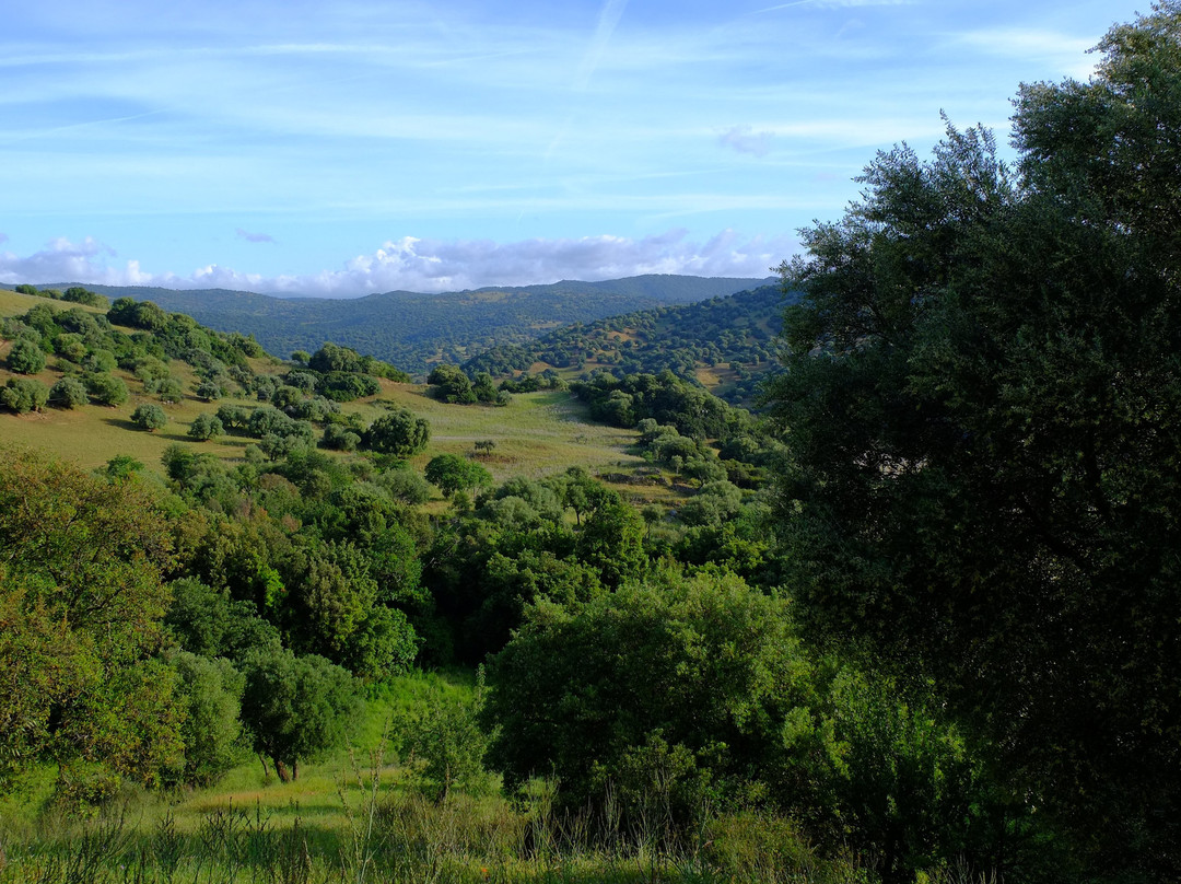 Agriturismo Abini